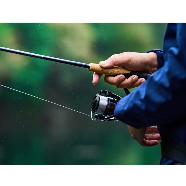 24ヴァンフォード